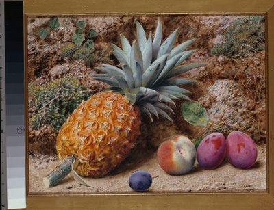 Un ananas, una pesca e prugne su una banca muschiosa da John Sherrin