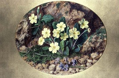 Primule e Viole da John Sherrin