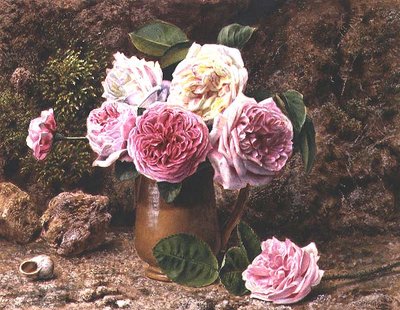 Rose da John Sherrin