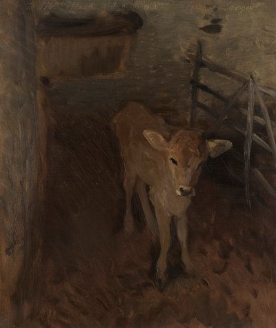 Un vitello di Jersey da John Singer Sargent