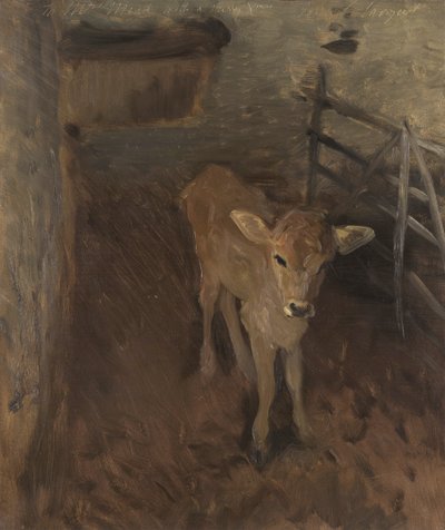 Un vitello di Jersey da John Singer Sargent
