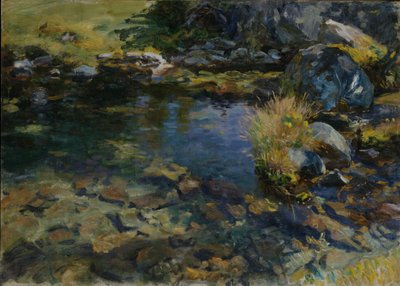 Piscina alpina da John Singer Sargent