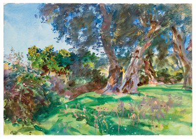 Alberi di ulivo, Corfù da John Singer Sargent