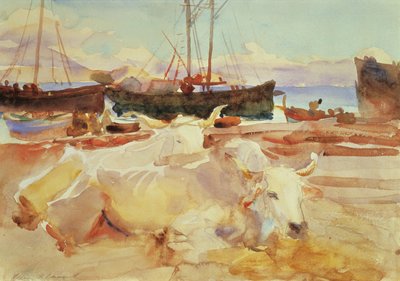Buoi sulla spiaggia a Baia, c.1908 da John Singer Sargent