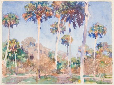 Palme, 1917 da John Singer Sargent