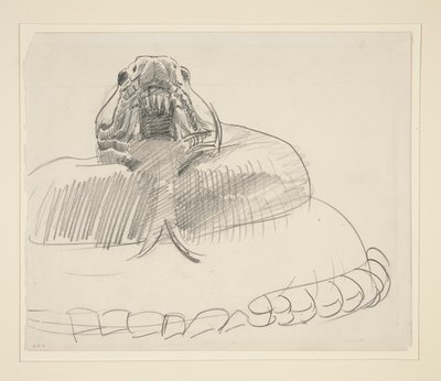 Serpente a Sonagli da John Singer Sargent