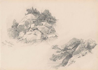 Rocce e cespugli, Hintersee, Germania, 1871 da John Singer Sargent