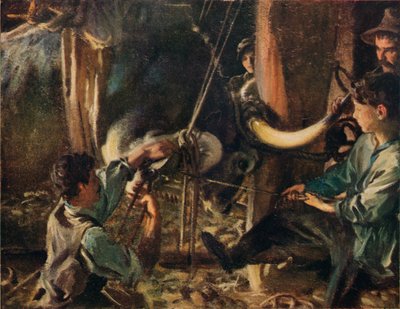 Ferratura del bue, c1910 da John Singer Sargent