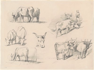 Studi di Bovini da John Singer Sargent