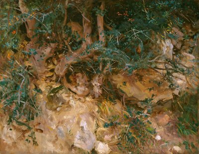 Valdemosa, Maiorca: cardi e erbe su un pendio, 1908 da John Singer Sargent