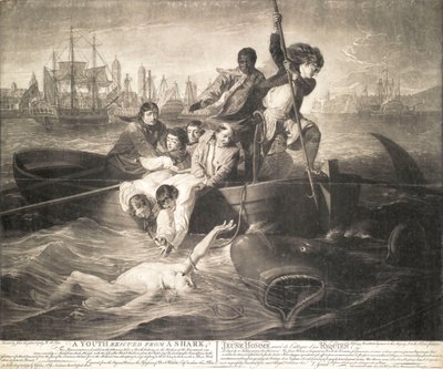 Un giovane salvato da uno squalo da John Singleton (after) Copley