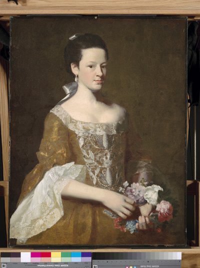 Dorothy Murray da John Singleton Copley