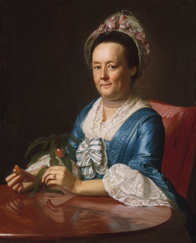 Signora John Winthrop, 1773 da John Singleton Copley
