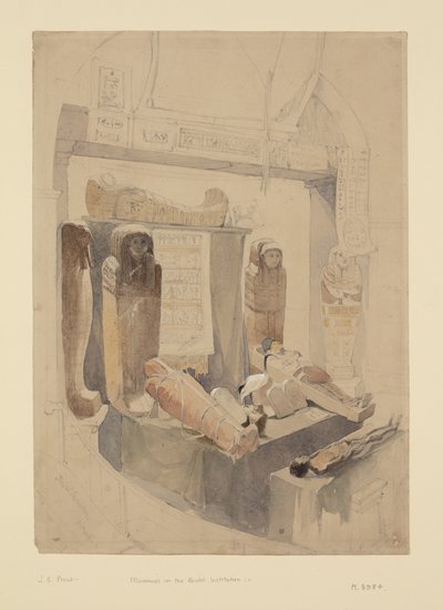 Mummie nell