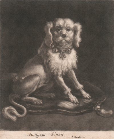 Un Piccolo Cane con un Collare con Campanelli da John Smith