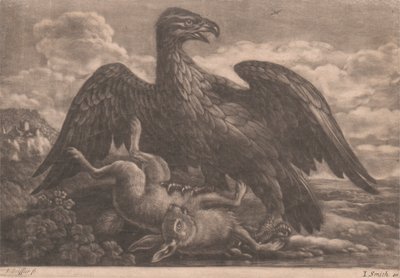 Aquila e lepre da John Smith