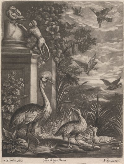 Gli Uccelli del Re da John Smith