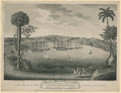 Veduta verso sud della città e del porto di Lucea nella parrocchia di Hanover, lato nord della Giamaica da John Spilsbury