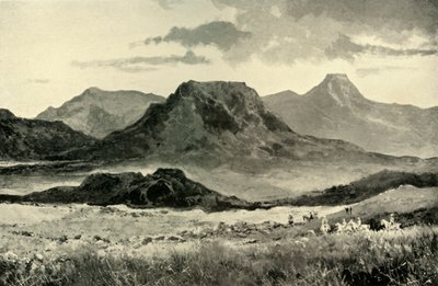 Un campo di battaglia storico: gennaio-febbraio 1881 e maggio 1900, 1901 da John Talbot Coke