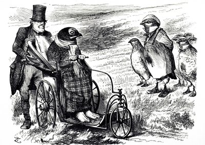 Un cartone animato che commenta la sospensione della caccia alla pernice per consentire il ripopolamento. Illustrato da John Tenniel (1820-1914) un illustratore inglese, umorista grafico e vignettista politico da John Tenniel