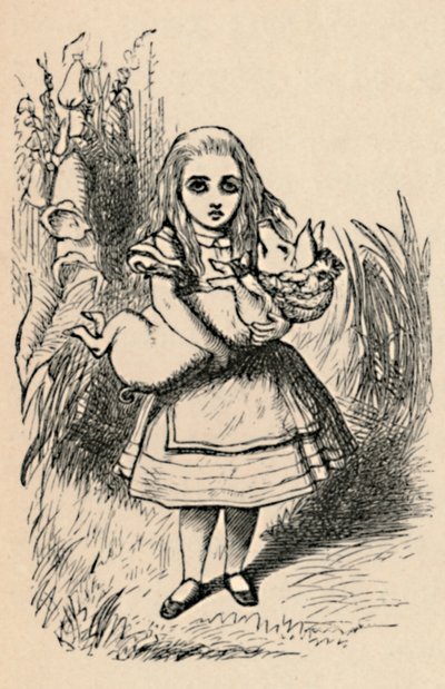 Alice che tiene un maiale tra le braccia, 1889 da John Tenniel