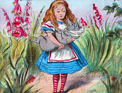 Alice che tiene un maiale tra le braccia, c1910 da John Tenniel