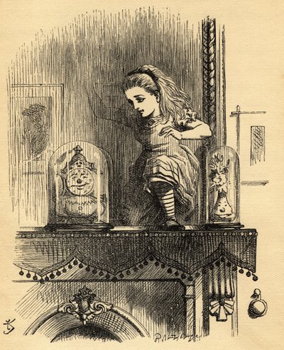 Alice nella casa dello specchio, illustrazione da 