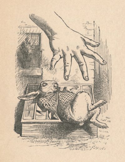 Alice mette la mano sul Coniglio Bianco, 1889 da John Tenniel