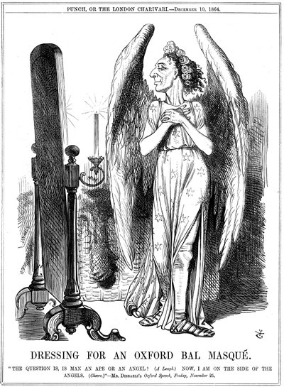 Benjamin Disraeli, conservatore britannico, caricatura da Punch, 1864 da John Tenniel