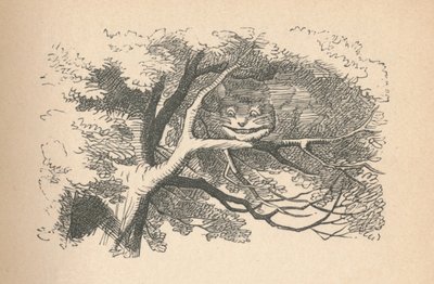 Il Gatto del Cheshire inizia a svanire, il suo sorriso è l