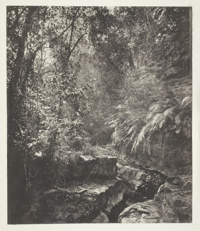 Un passo di montagna a Formosa da John Thomson