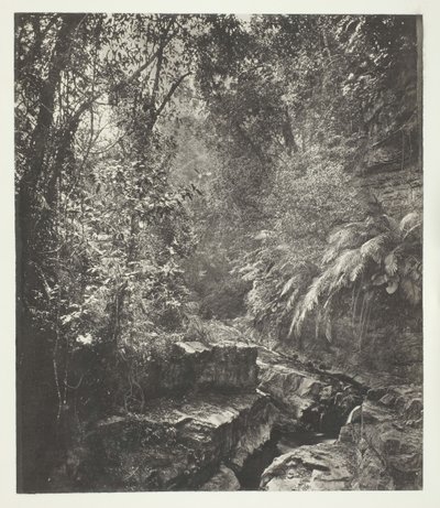 Un passo di montagna a Formosa, c. 1868 da John Thomson