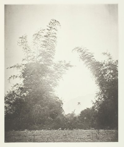 Bambù a Baksa, Formosa da John Thomson