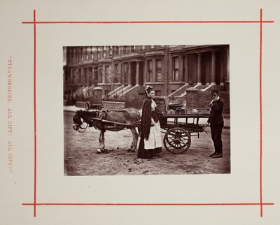 Fragole. Tutte mature! Tutte mature!, 1877 da John Thomson