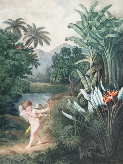 Cupido ispira le piante con l