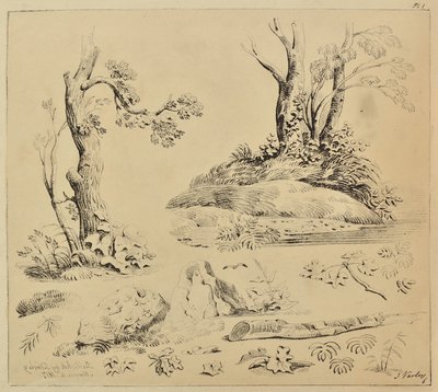 Foglio di studi di tronchi d