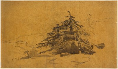 Studie von Bäumen in einer Landschaft da John Varley