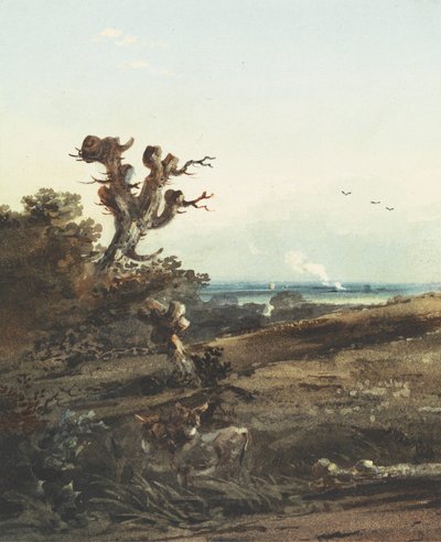 Due asini in un paesaggio da John Varley