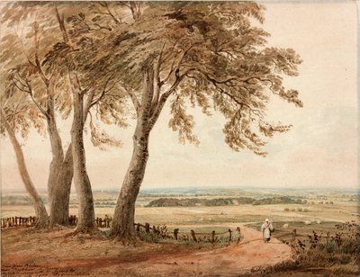 Vista da Polsden vicino a Bookham nel Surrey da John Varley
