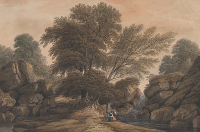 Figure accanto a una cascata e una piscina in un paesaggio boscoso, 1812 da John Varley I