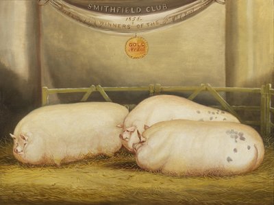 Tre Leicesters migliorati in un recinto allo Smithfield Club Christmas Show, 1858 da John Vine