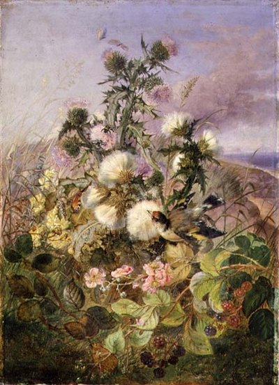 Un cardellino e una farfalla tra i cardi e i fiori di mora da John Wainwright