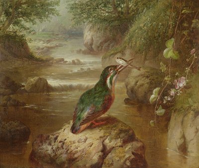 Il rifugio del martin pescatore da John Wainwright