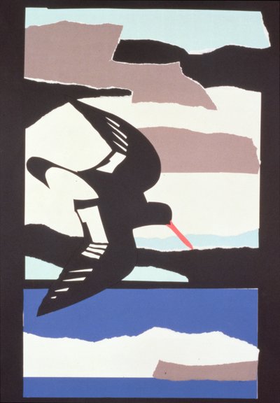 Beccaccia di mare da John Wallington