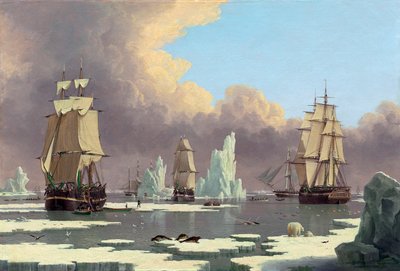 La pesca della balena del nord: Il Cigno e Isabella, c. 1840 da John Ward of Hull