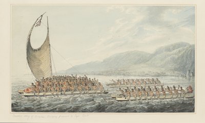 Tereoboo, re di Owyhee, porta doni al Capitano Cook, da una serie di acquerelli che illustrano l
