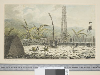 F.17 Un Morai, in Atooi, c.1773-84 da John Webber