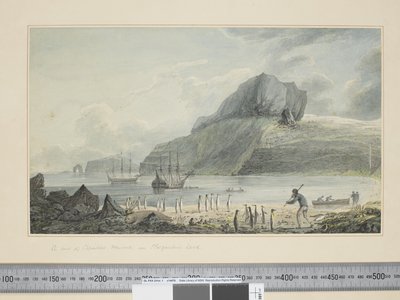 Veduta di Christmas Harbour a Kerguelen