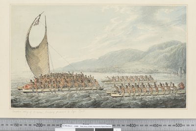 F.35 Tereoboo, Re di Owyhee, che porta doni al Capitano Cook, c.1773-84 da John Webber
