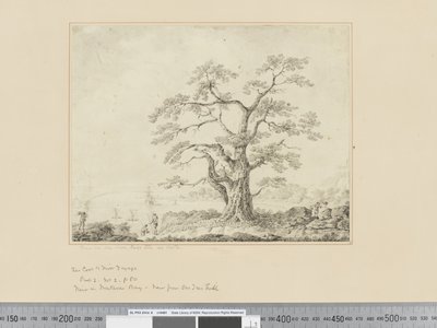 F.44 Vista sulla riva del mare, grande albero al centro, c.1783-84 da John Webber